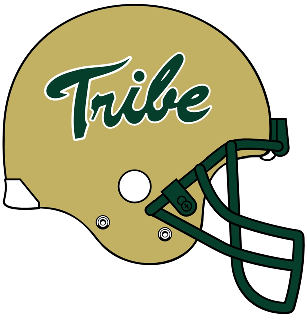 William and Mary Tribe 2009-Pres Helmet Logo diy DTF decal sticker